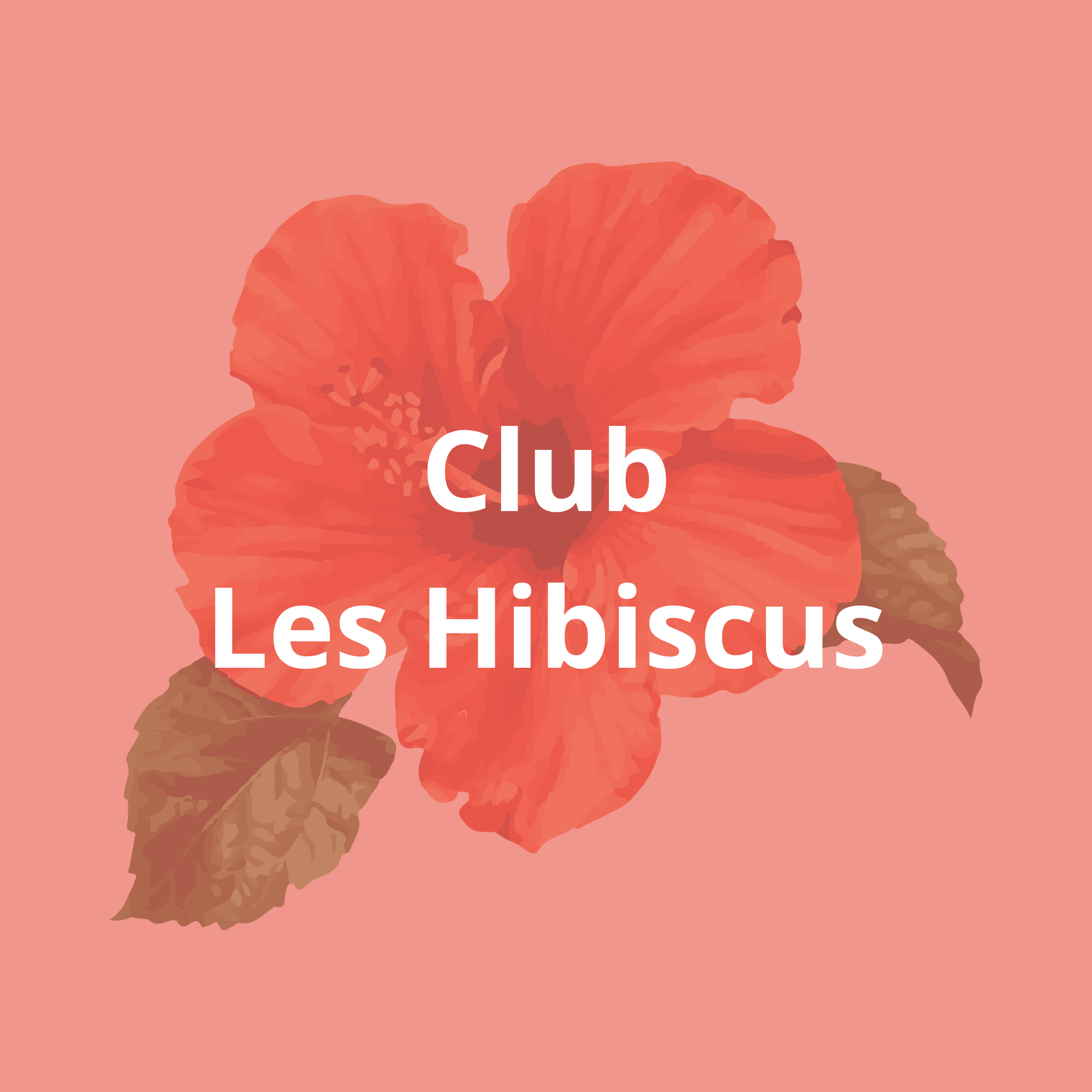 Club Les Hibiscus